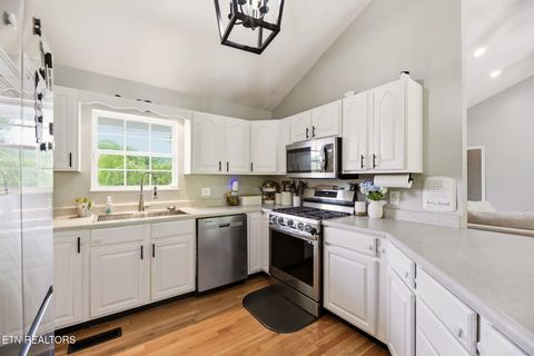Tiny photo for 235 Raccoon Valley Rd, Maynardville, TN 37807 (MLS # 1339096)