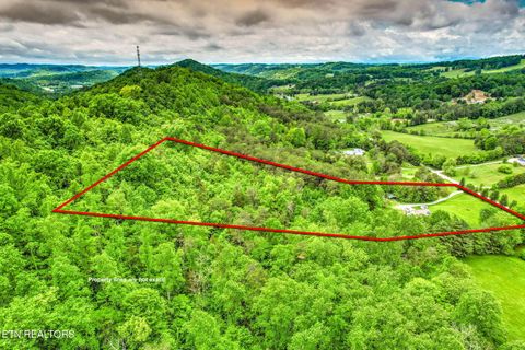 Tiny photo for 235 Raccoon Valley Rd, Maynardville, TN 37807 (MLS # 1339096)