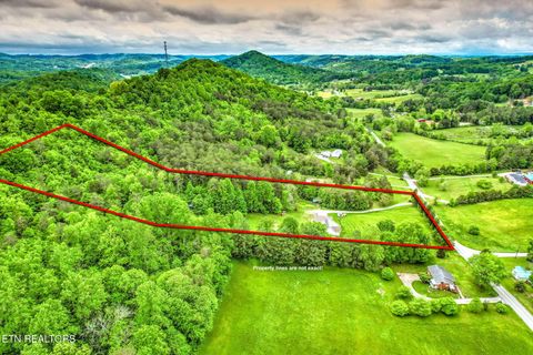 Tiny photo for 235 Raccoon Valley Rd, Maynardville, TN 37807 (MLS # 1339096)