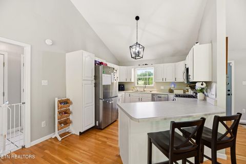 Tiny photo for 235 Raccoon Valley Rd, Maynardville, TN 37807 (MLS # 1339096)