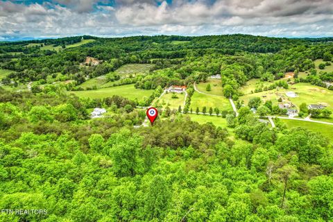 Tiny photo for 235 Raccoon Valley Rd, Maynardville, TN 37807 (MLS # 1339096)