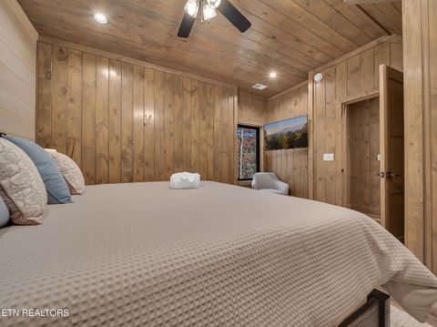 Tiny photo for 2671 Switchback Way, Cosby, TN 37722 (MLS # 1319889)