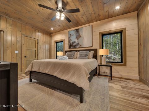 Tiny photo for 2671 Switchback Way, Cosby, TN 37722 (MLS # 1319889)