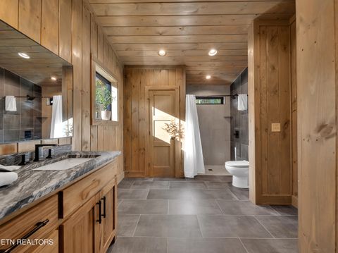 Tiny photo for 2671 Switchback Way, Cosby, TN 37722 (MLS # 1319889)