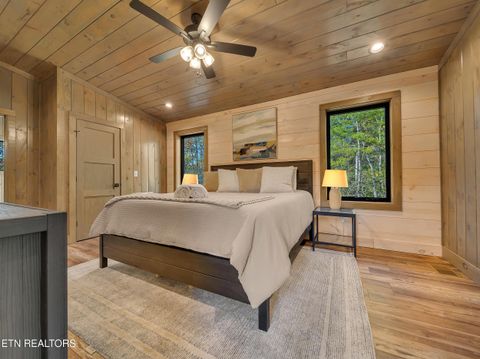 Tiny photo for 2671 Switchback Way, Cosby, TN 37722 (MLS # 1319889)