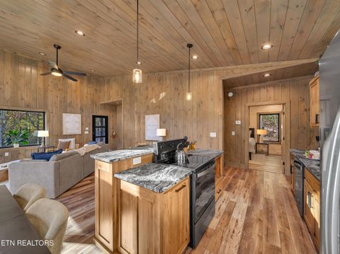 Tiny photo for 2671 Switchback Way, Cosby, TN 37722 (MLS # 1319889)