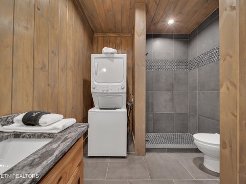 Tiny photo for 2671 Switchback Way, Cosby, TN 37722 (MLS # 1319889)