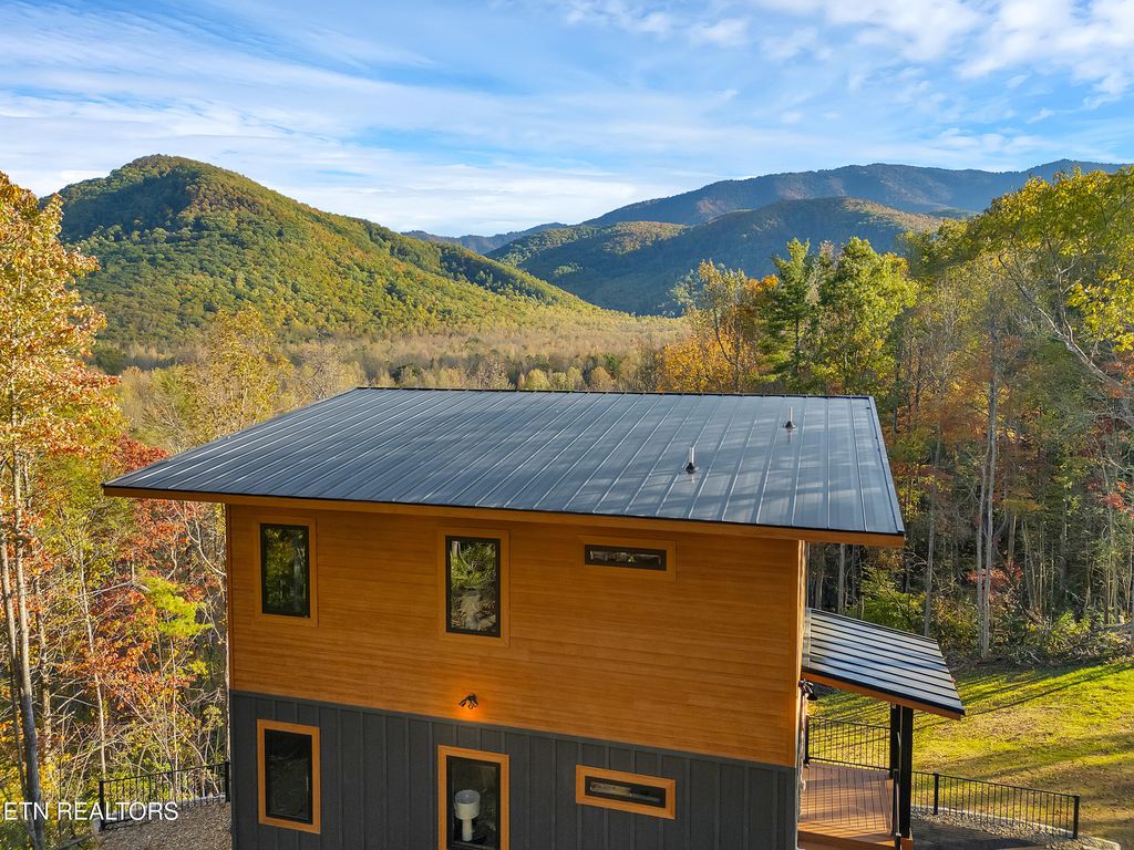 Photo of 2671 Switchback Way, Cosby, TN 37722 (MLS # 1319889)