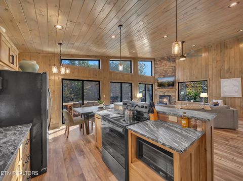 Tiny photo for 2671 Switchback Way, Cosby, TN 37722 (MLS # 1319889)