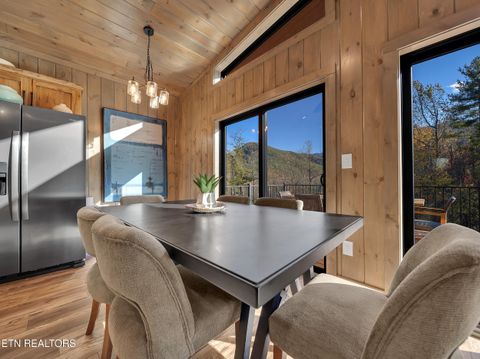 Tiny photo for 2671 Switchback Way, Cosby, TN 37722 (MLS # 1319889)