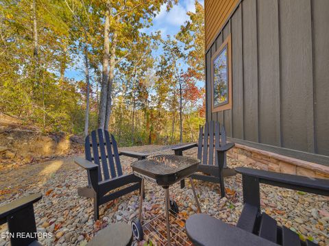 Tiny photo for 2671 Switchback Way, Cosby, TN 37722 (MLS # 1319889)