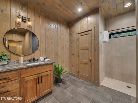 Tiny photo for 2671 Switchback Way, Cosby, TN 37722 (MLS # 1319889)