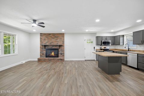 Tiny photo for 2245 Pinecrest Rd, Jacksboro, TN 37757 (MLS # 1342176)