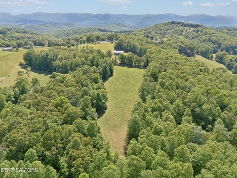 Tiny photo for 2245 Pinecrest Rd, Jacksboro, TN 37757 (MLS # 1342176)