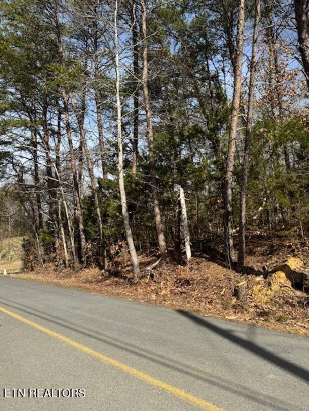Photo of 1191 Tree Line Lane, Baneberry, TN 37890 (MLS # 1290813)