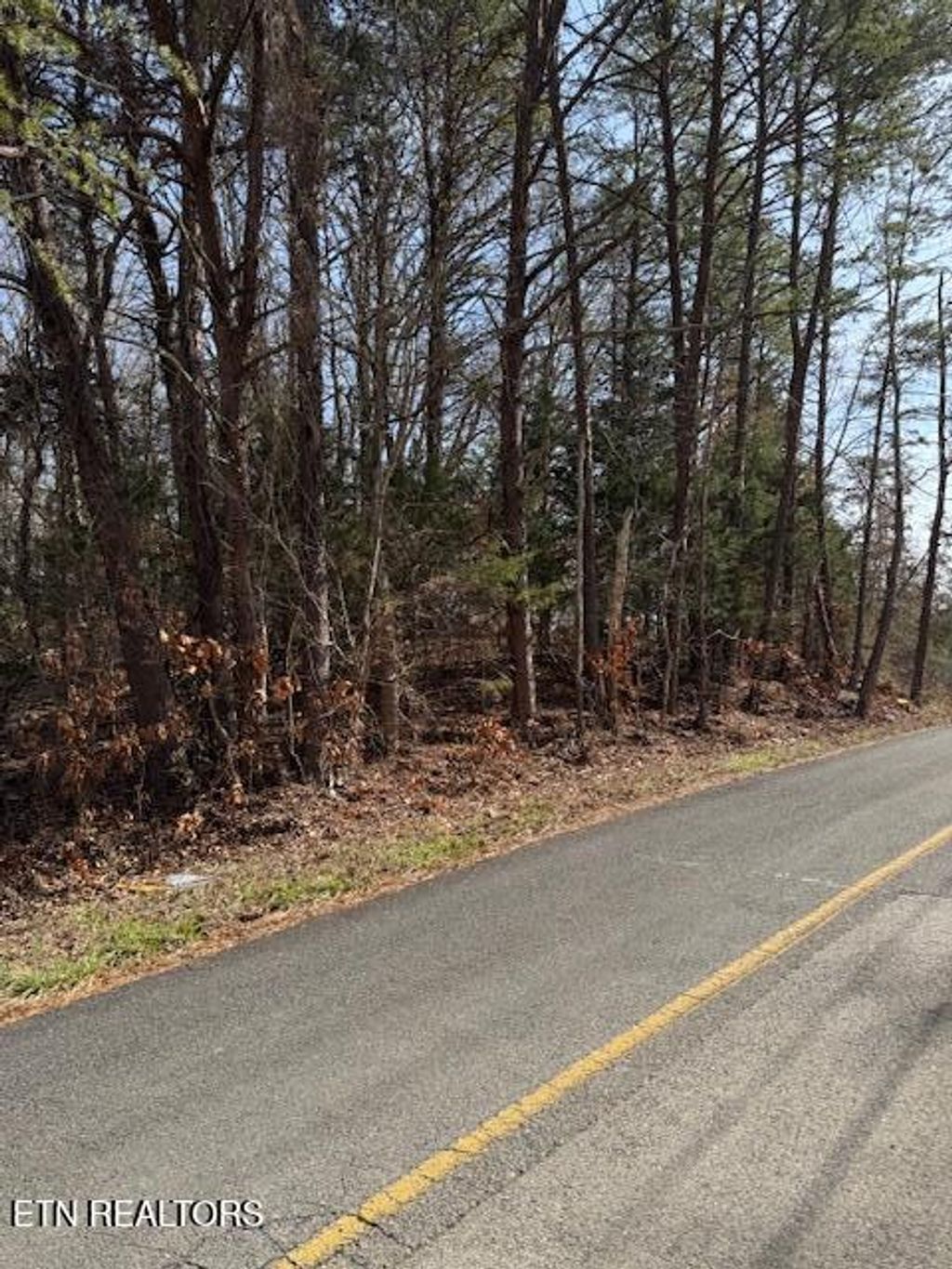 Photo of 1191 Tree Line Lane, Baneberry, TN 37890 (MLS # 1290813)