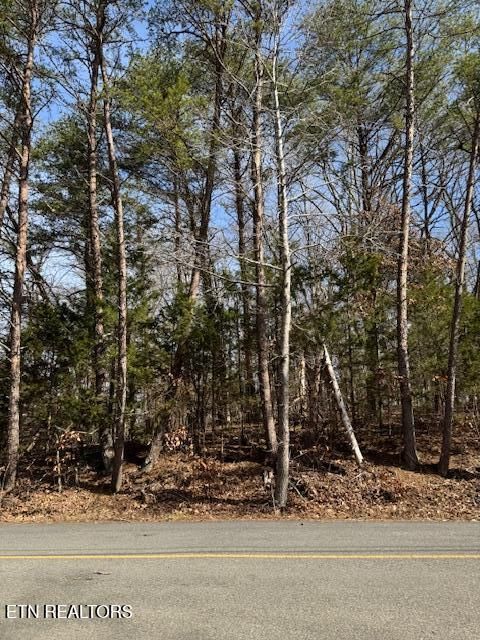 Lot 1191 Tree Line Lane Baneberry TN 37890