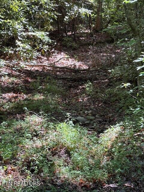 lot 4 Old Furnace Rd