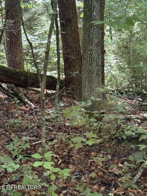 lot 4 Old Furnace Rd
