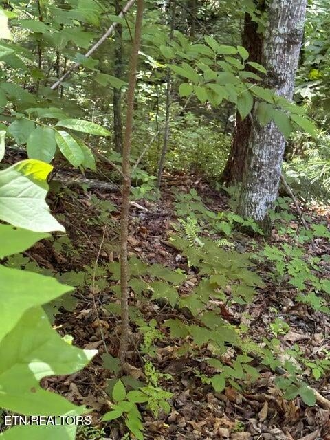 lot 4 Old Furnace Rd