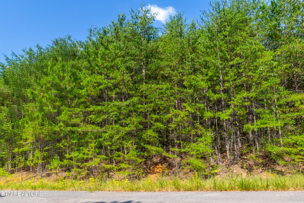 Photo of 742 White Dogwood Drive, Newport, TN 37821 (MLS # 1353303)