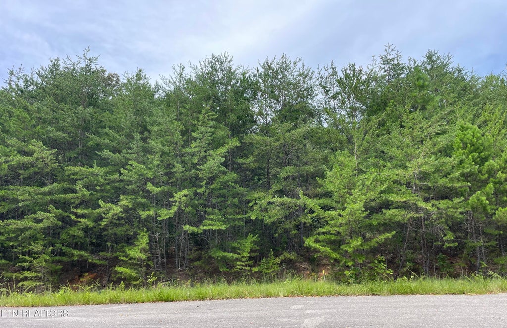 Photo of 742 White Dogwood Rd, Cosby, TN 37722 (MLS # 1353303)