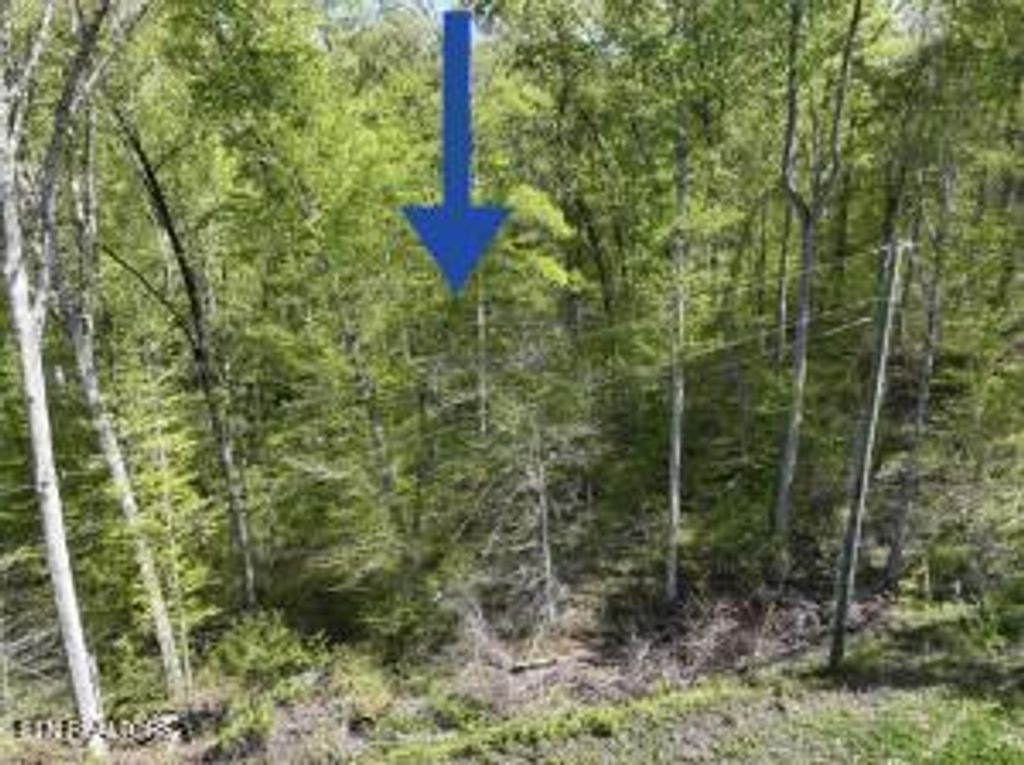 Photo of 2728 Norton Rd, Dandridge, TN 37725 (MLS # 1298676)