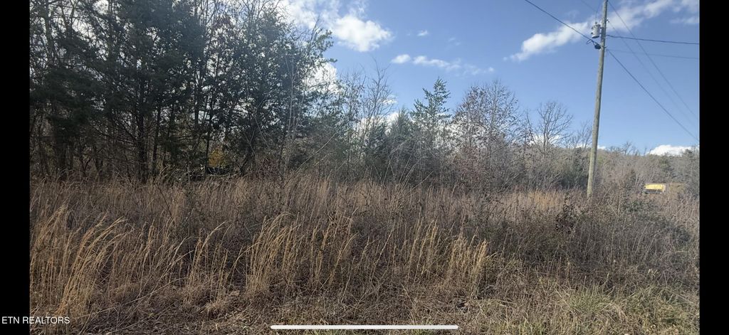 Photo of Friends Station Rd, New Market, TN 37820 (MLS # 1293542)