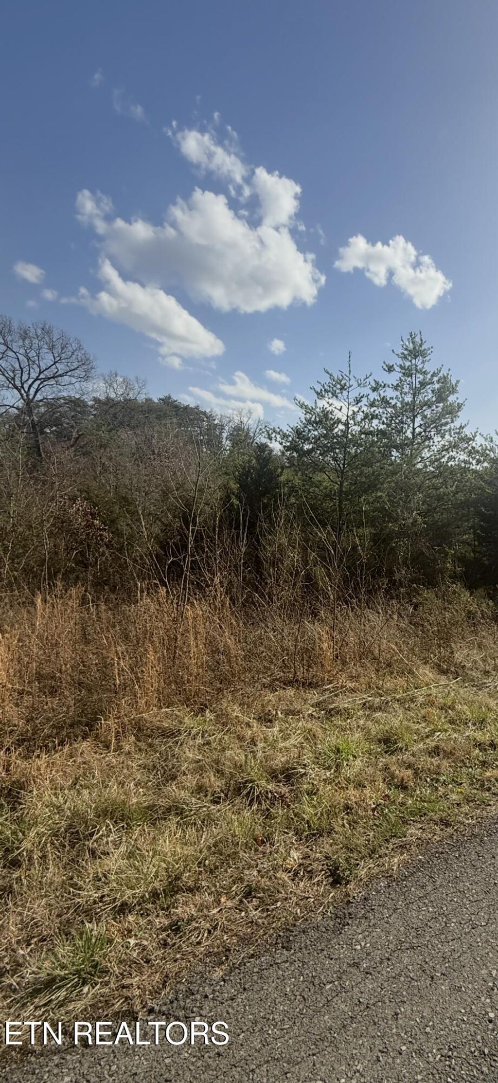Photo of Friends Station Rd, New Market, TN 37820 (MLS # 1293542)