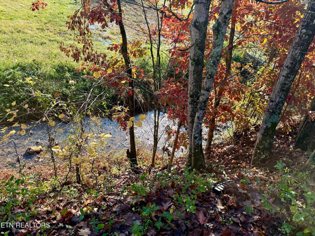 Photo of 186 Drinnon Lane Lane, Sneedville, TN 37869 (MLS # 1320541)