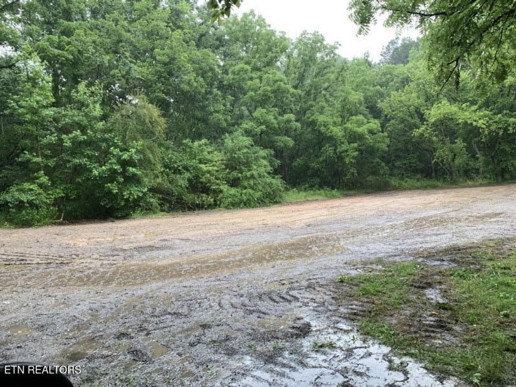 Photo of 5694 Ladd Springs Road Rd, Old Fort, TN 37362 (MLS # 1345745)