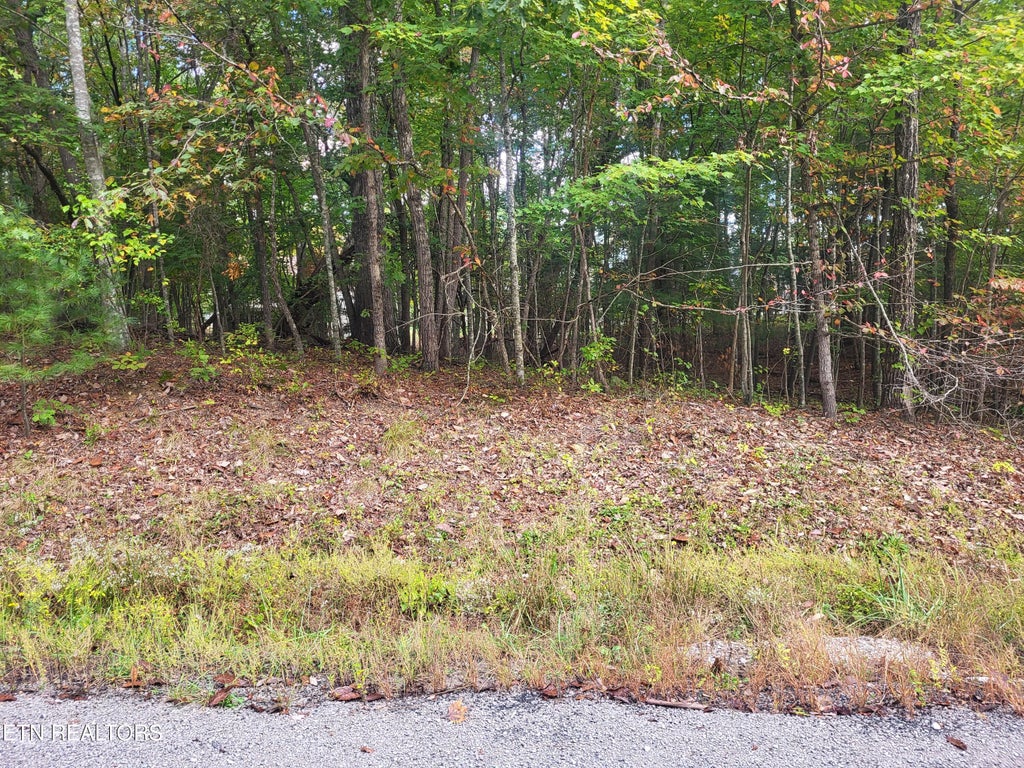 Photo of 17 Appleby Court, Crossville, TN 38558 (MLS # 1358749)