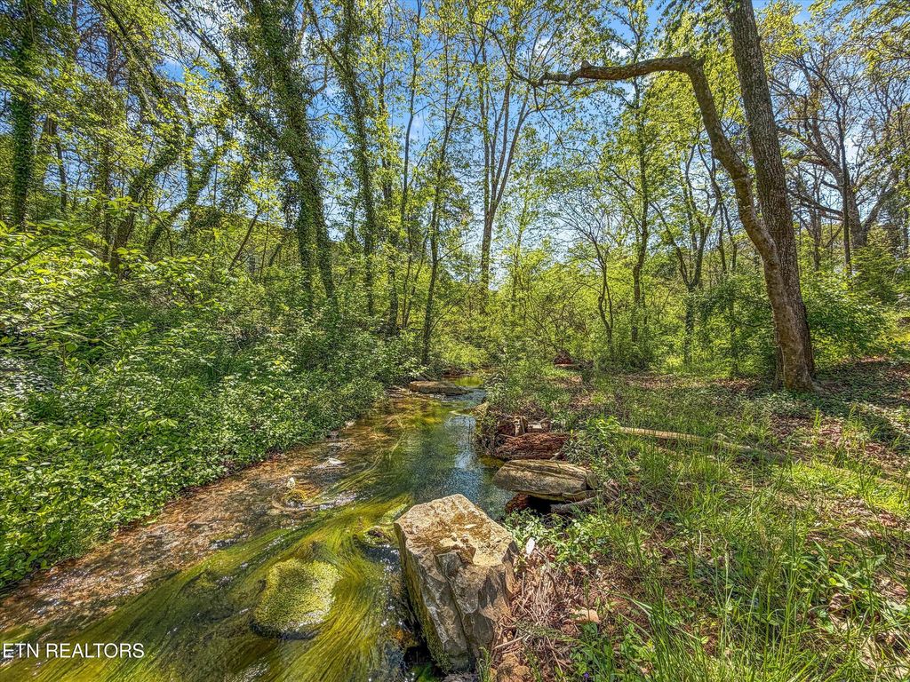 Photo of 8904 Ormand Lane, Knoxville, TN 37923 (MLS # 1336323)