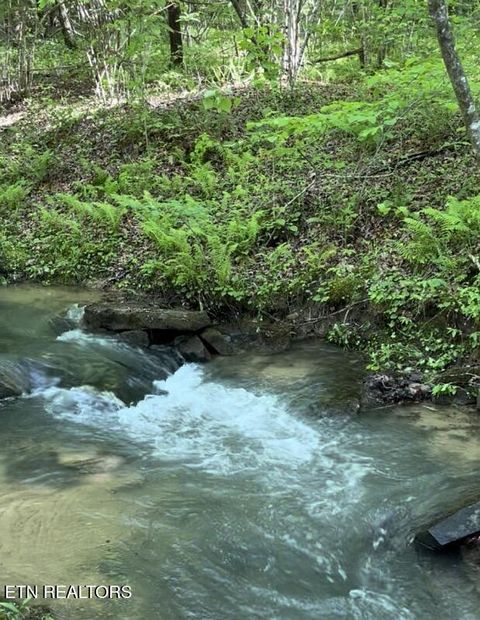 Tiny photo for 73 Creek Place, Monterey, TN 38574 (MLS # 1340417)