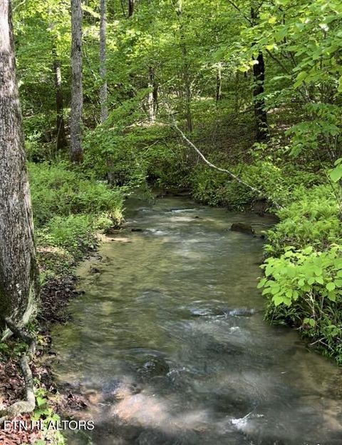Tiny photo for 73 Creek Place, Monterey, TN 38574 (MLS # 1340417)