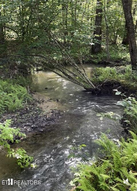 Tiny photo for 73 Creek Place, Monterey, TN 38574 (MLS # 1340417)