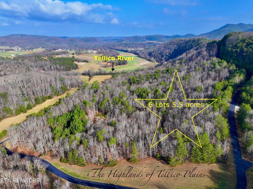 Photo of Forest View, Tellico Plains, TN 37385 (MLS # 1325917)