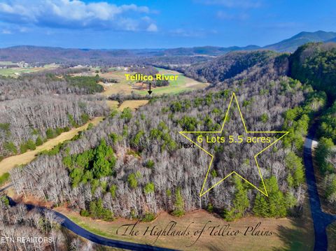 Photo of Forest View, Tellico Plains, TN 37385 (MLS # 1325917)