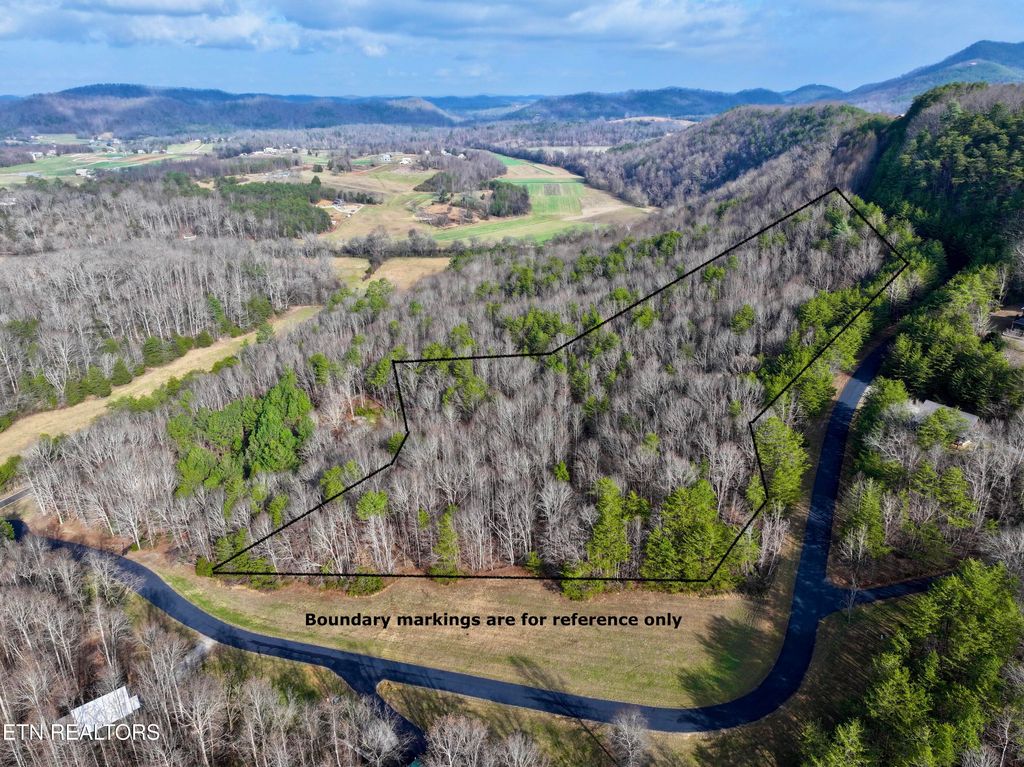 Photo of Forest View, Tellico Plains, TN 37385 (MLS # 1325917)