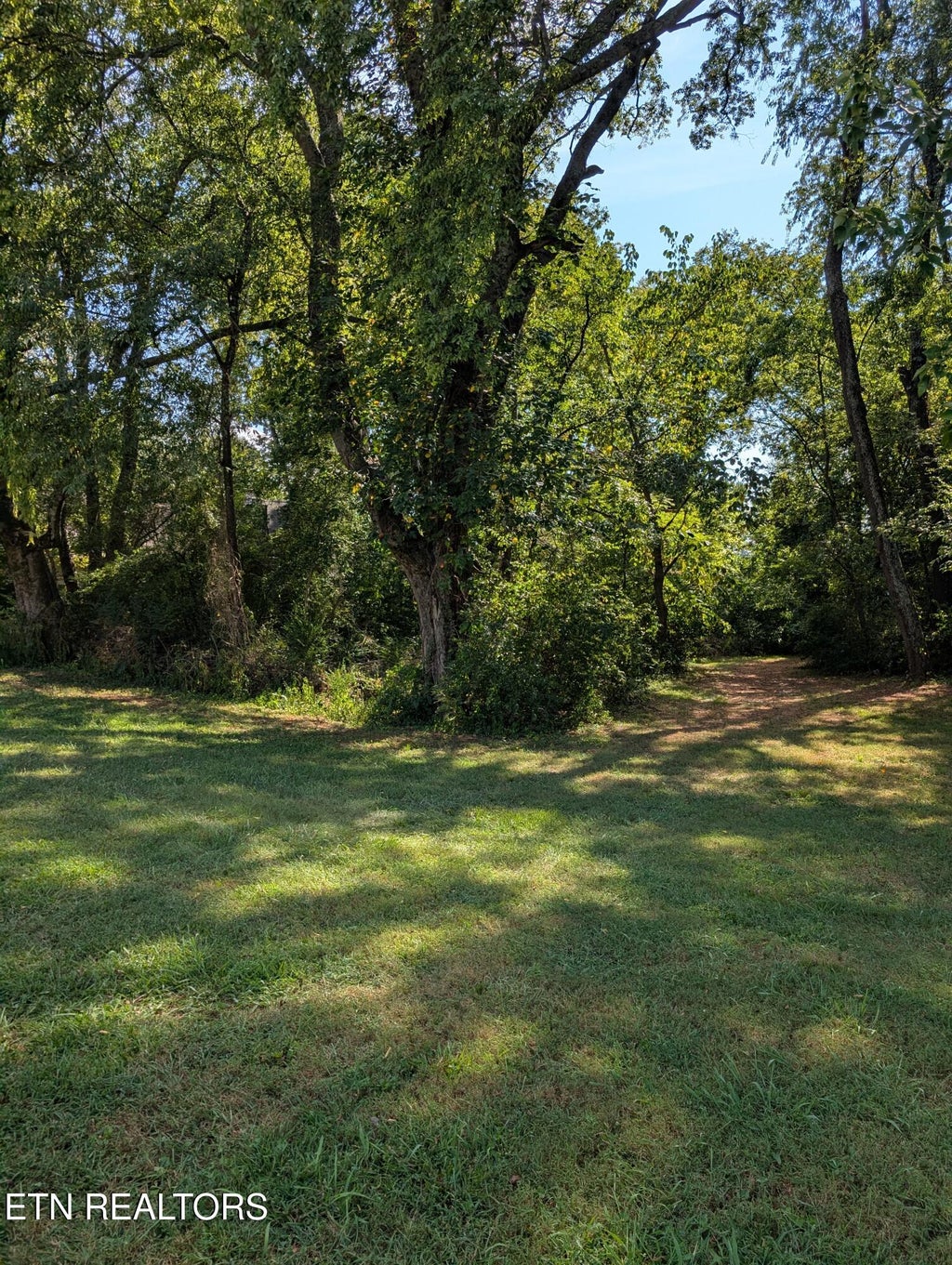 Photo of 617 Davis Acres Drive, Maryville, TN 37804 (MLS # 1354527)