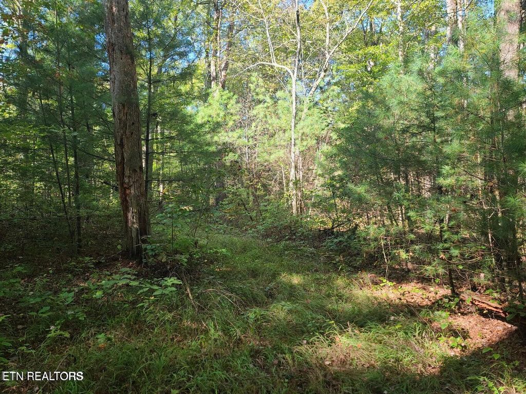 Photo of Hannah Davidson Rd, Sunbright, TN 37872 (MLS # 1347426)