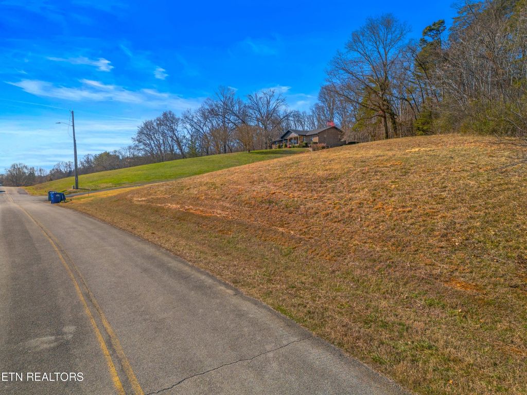 Photo of 32 E Cross Rd, Dandridge, TN 37725 (MLS # 1327034)