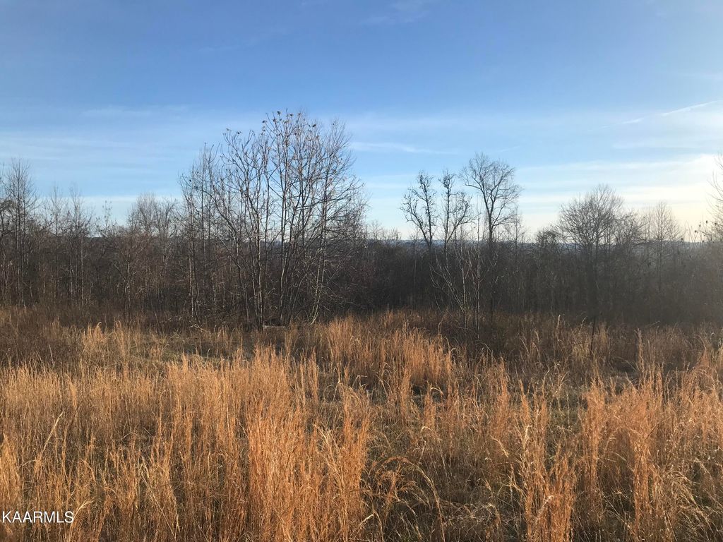 Photo of Chloe Tr, Tazewell, TN 37879 (MLS # 1220756)