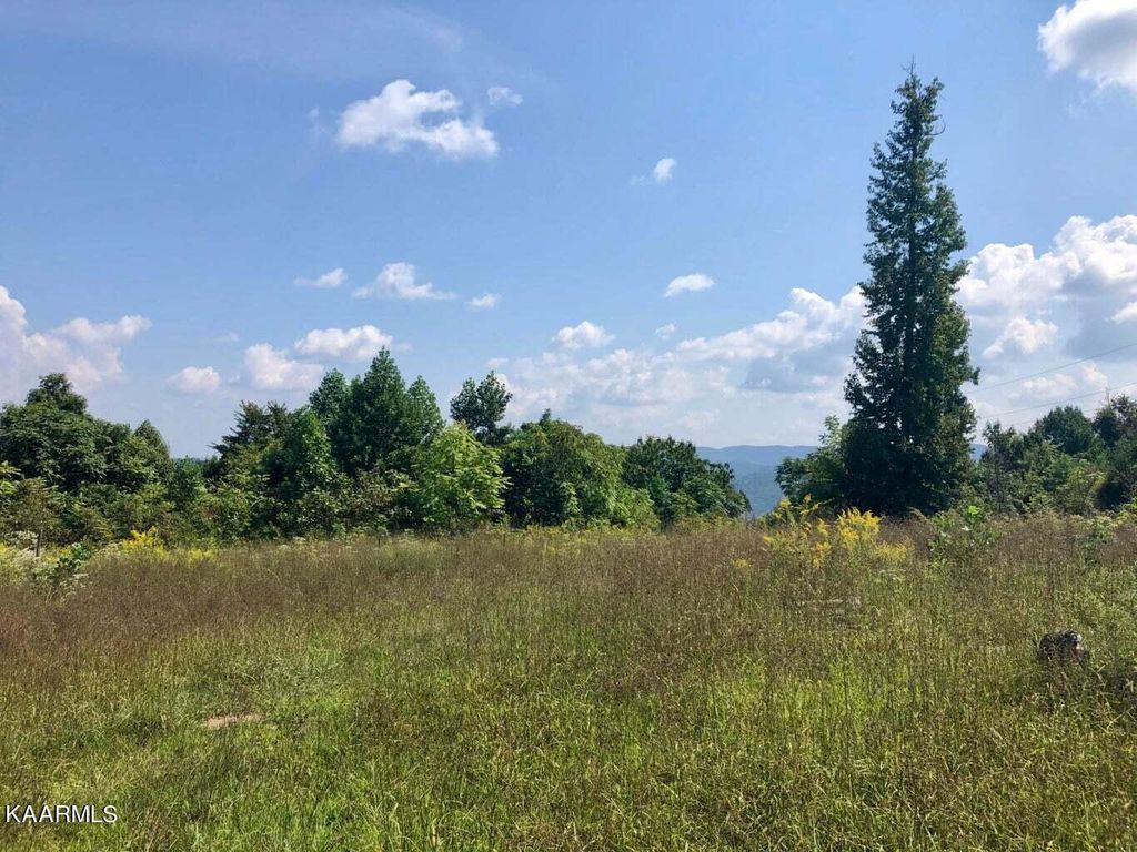 Photo of Chloe Tr, Tazewell, TN 37879 (MLS # 1220756)