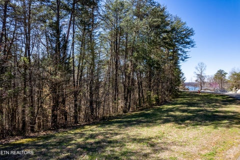 Tiny photo for Indian Shadows Drive Lot 112, Maryville, TN 37801 (MLS # 1347536)