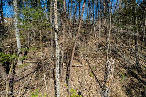 Tiny photo for Indian Shadows Drive Lot 112, Maryville, TN 37801 (MLS # 1347536)
