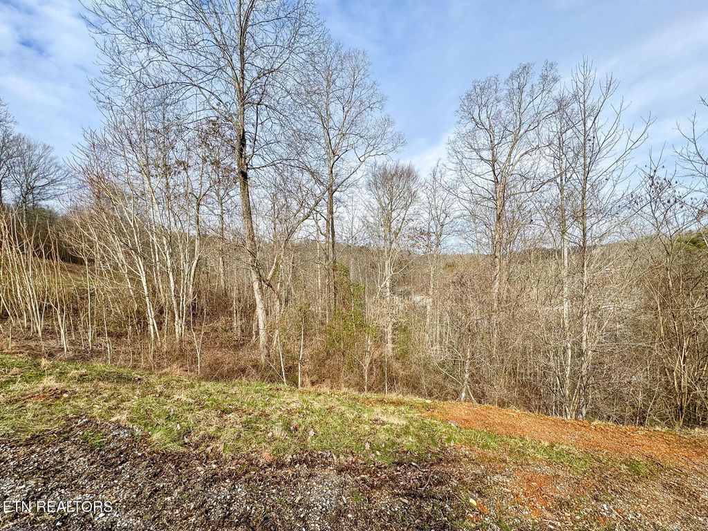 Photo of 207 Suncrest Cove, LaFollette, TN 37766 (MLS # 1308447)