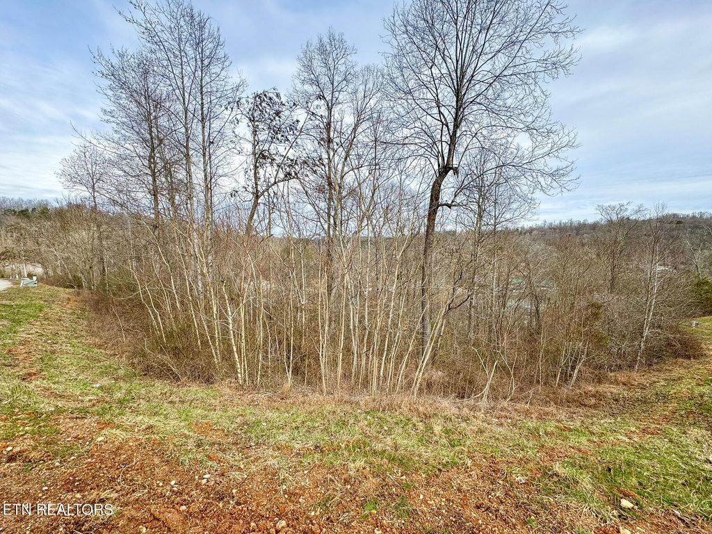 Photo of 207 Suncrest Cove, LaFollette, TN 37766 (MLS # 1308447)