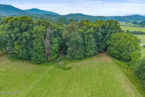 Tiny photo for 160 Rural Vale Rd, Tellico Plains, TN 37385 (MLS # 1349997)
