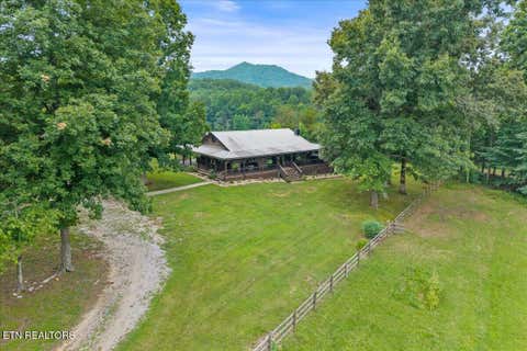 Tiny photo for 160 Rural Vale Rd, Tellico Plains, TN 37385 (MLS # 1349997)